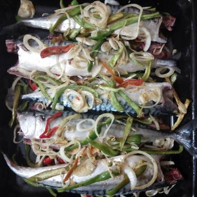  سمك الماكريل الصينية 