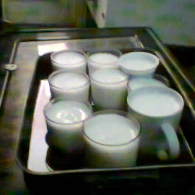  طريقة عمل الزبادى البيتى 