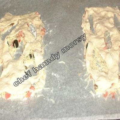  فوجاس بروفيشنال (شيف حمدي مرسي) 