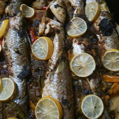  صنيه بطاطس ماريكا بالسردين 