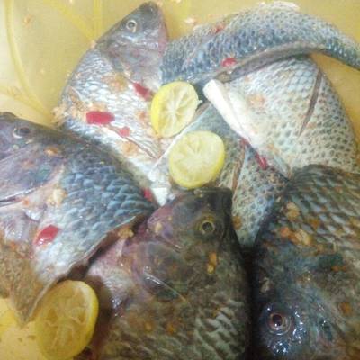  صينيه سمك محشي بالفرن 