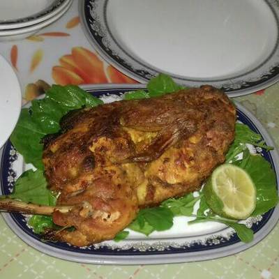  فراخ الزبادي 