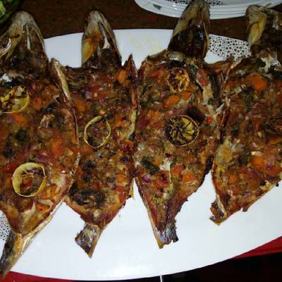  سمك سنجاري إسكندراني 