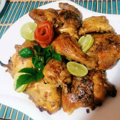  دجاج بصوص الزبادي 