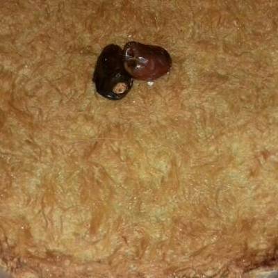  كنافة بالتمر 