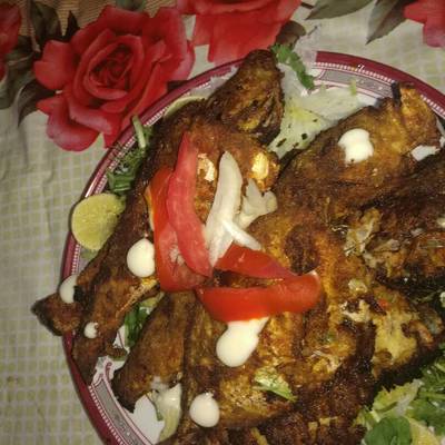  قلى اسماك البحر الاحمر 