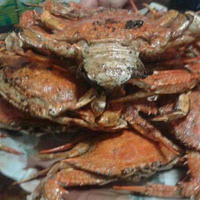  الكابوريا المقلية 