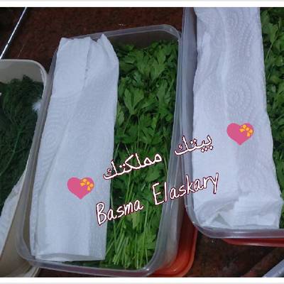  طريقة حفظ الخضروات الورقية لاطول فترة ممكنة 