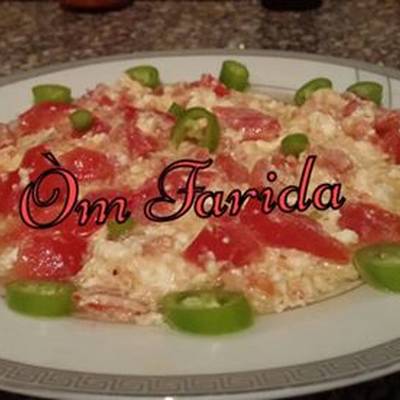  طريقة عمل المش الفلاحي 