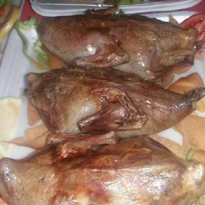  الحمام المحشي 