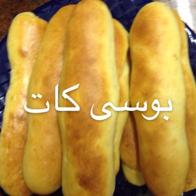  الفينو البيتى 