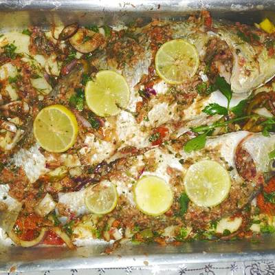  سمك دنيس صينيه 