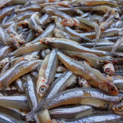  طاجن البساريا من مصر⁦ 