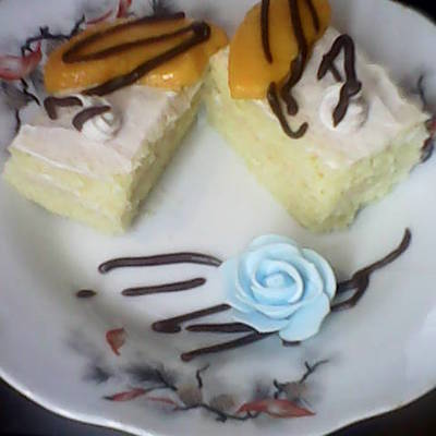  جاتوة شاتوة 