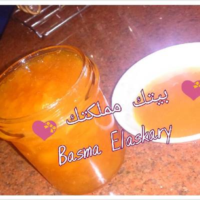  مربي المشمس 