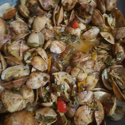  جندوفلي اسكندراني 