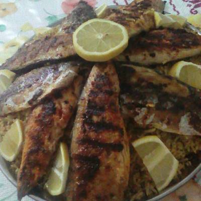  صيادية مع فيليه السمك 