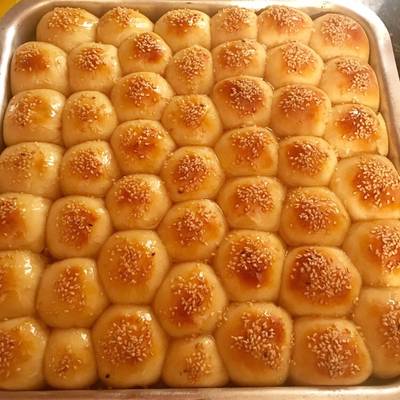  خلية نحل (نحليَّة) 