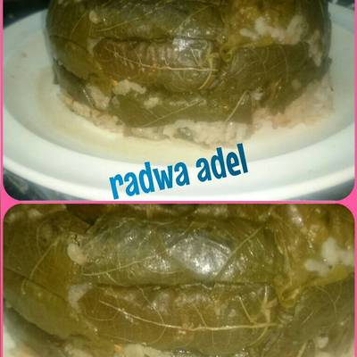  محشي ورق عنب وفلفل بطريقتي ❤