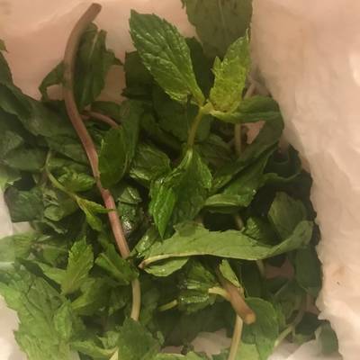  حفظ النعناع 