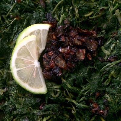  هندبا متبله ع طريقة ستي 