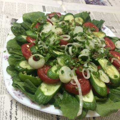  سلطه جمال ابو تامر 