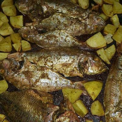  سمك في الفرن 