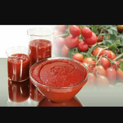  عصير الطماطم #موسم الطماطم 