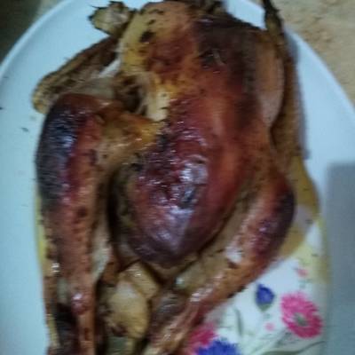  الديك الرومي (Turkey) 