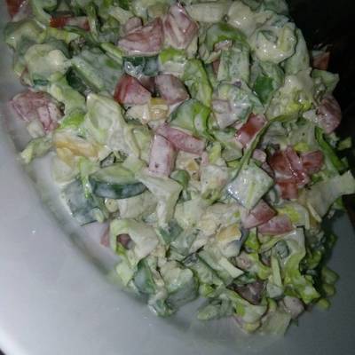  سلطه الزبادي و المايونيز اللايت 