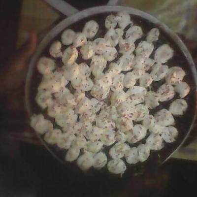  صوص شوكولا لجميع الكيكات 