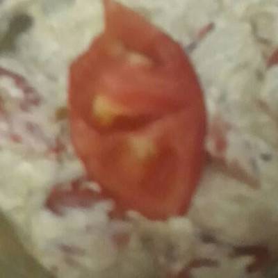  الجبنة القديمة (المش) 