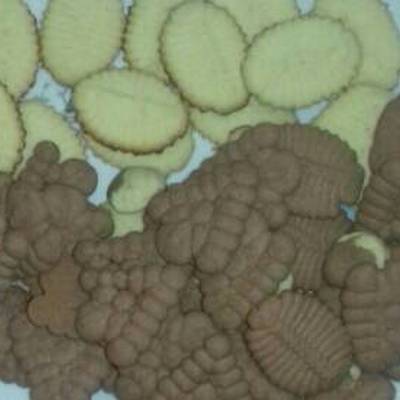  بسكويت سهل وسريع 