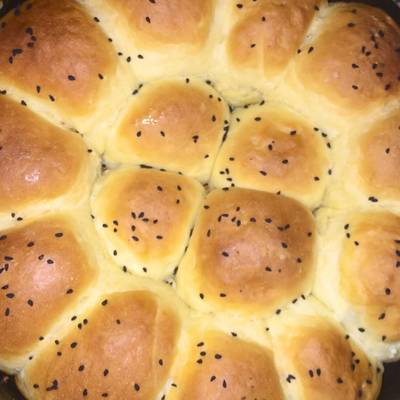  خليه النحل بالجبنه 