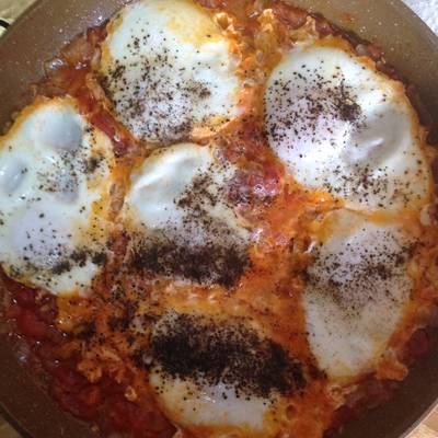  الشكشوكه الفلسطينيه رووووعه 