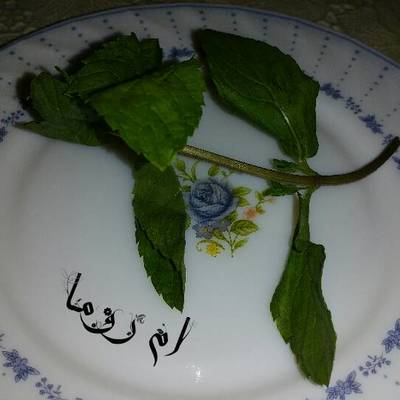  طرق حفظ النعناع الطازج لأطول فترة ممكنة 