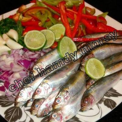  طاجن سردين على الطريقة الايطالية                             ,شيف حمدي مرسي, 