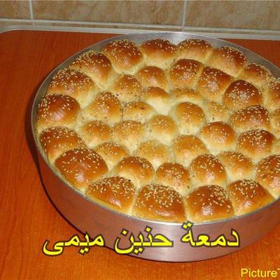  خليه النحل يم يم يمى 