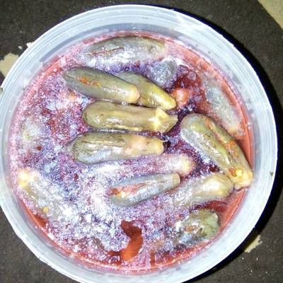  مخلل الباتنجان تحفه 