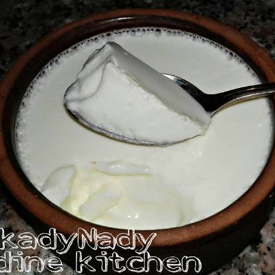  الزبادي البيتي 