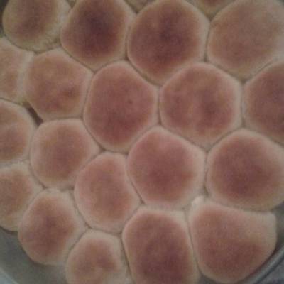  خلية النحل بالجبنه 