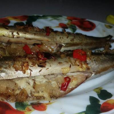  سمك الماكريل 