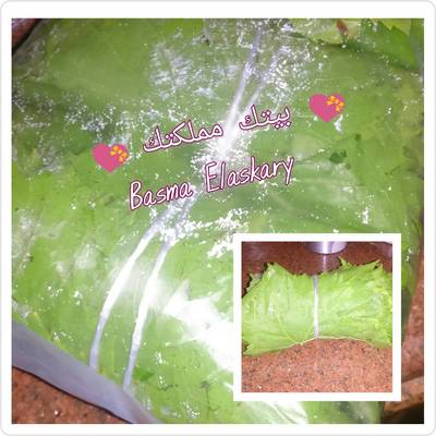  تفريز ورق العنب 