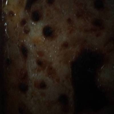  كوسه بالبشاميل والفراخ 