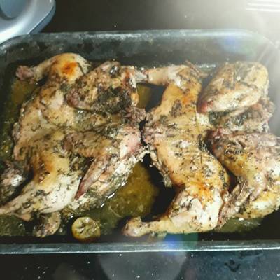  فراخ بصوص الزعتر والليمون 