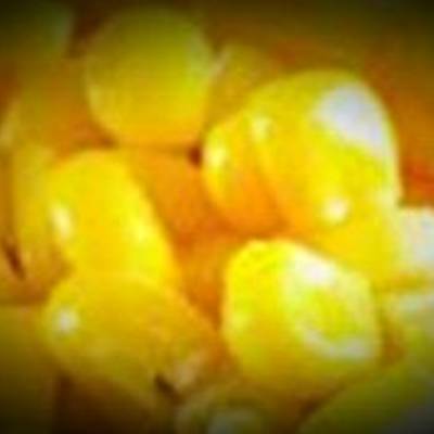  ذرة مسلوق و شهي 