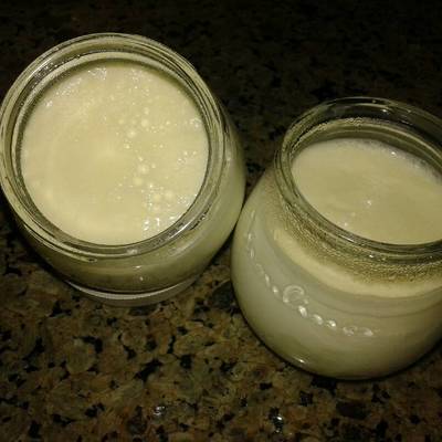  الزبادى البيتى 